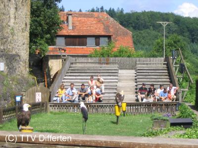 vf2005_66