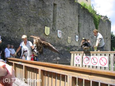 vf2005_68